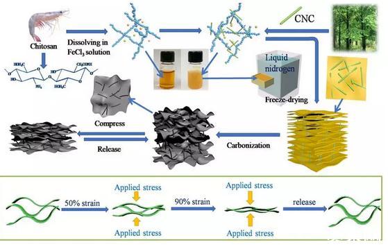 纤维素纳米晶体制备了一种新型全生物质弹性碳材料