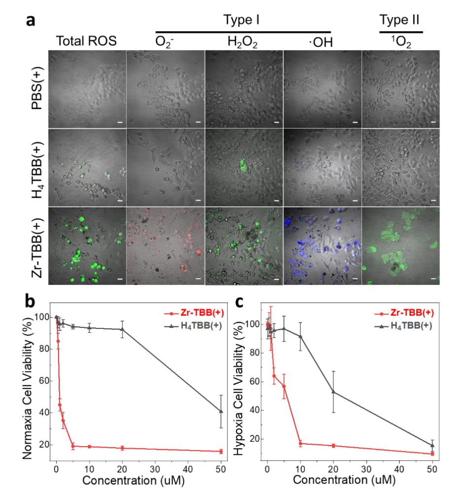 纳米MOF稳定细菌卟啉用于I型和II型同步的光动力疗法