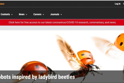 瓢虫机器人登上《Science》头条！未来可进行搜索侦查等任务