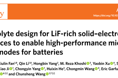 王春生《自然·能源》富LiF新型电解液的设计助力高性能微米级合金阳极电池