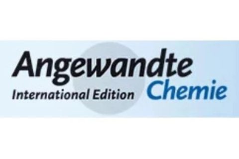 《德国应用化学》低共熔超分子聚合物：新型本体超分子材料