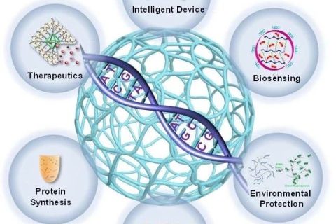 天津大学仰大勇课题组发表DNA高分子水凝胶研究系统评述