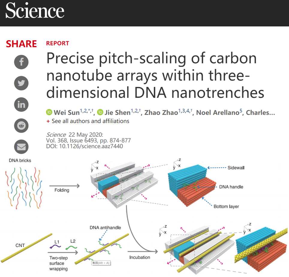 碳纳米管过气了？北大/哈佛一口气发3篇《Science》，在碳纳米管研究领域取得重大突破