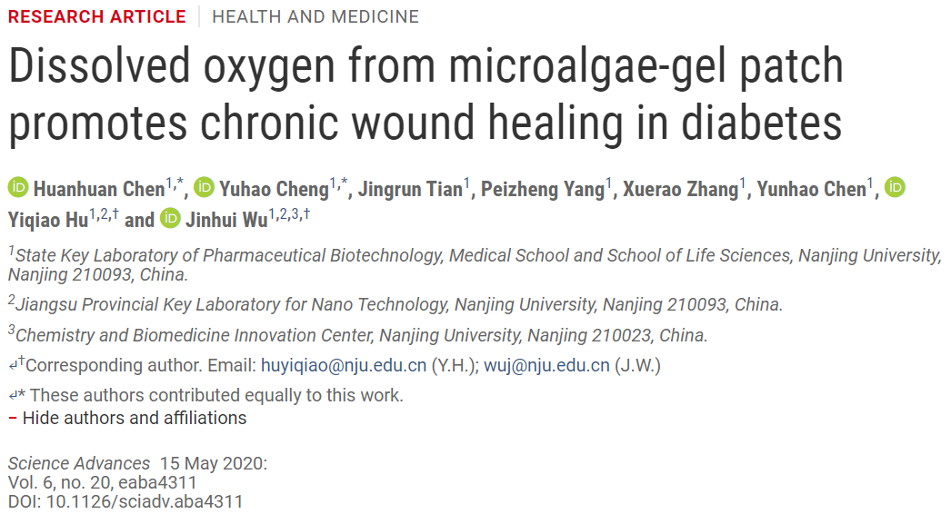 糖尿病患者的福音：南京大学开发出治疗慢性伤口的微藻凝胶贴片