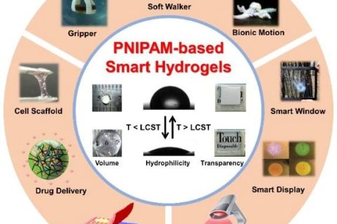 天津大学封伟教授团队在PMS上全面综述PNIPAM基智能水凝胶