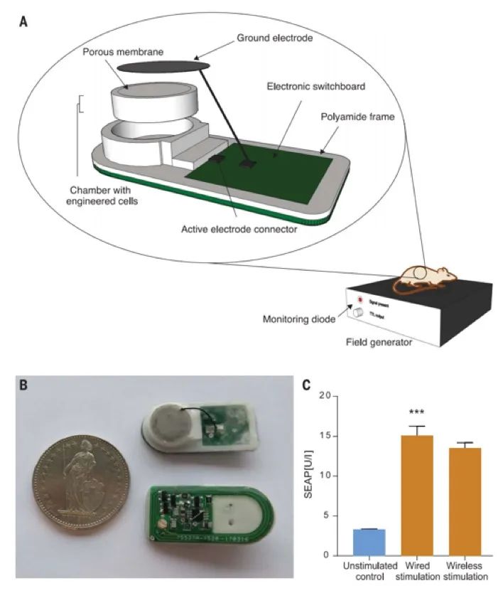 华师大/西湖大学《Science》重磅：无线电控制精准治疗I-型糖尿病，仅需植入硬币大小的生物器件！