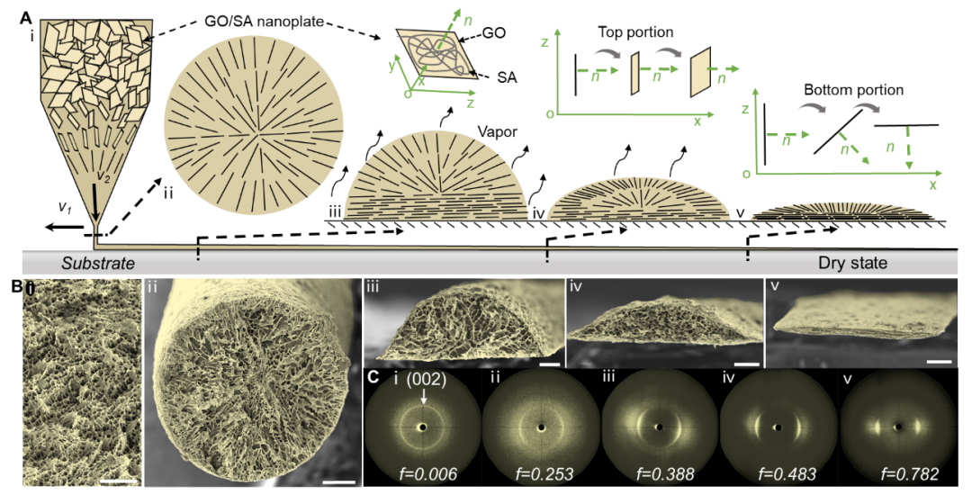 清华大学张莹莹课题组《PNAS》：3D打印制备超可拉伸离子神经电极
