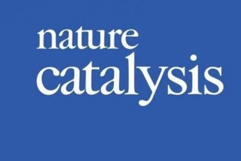 原始数据一定要保存好！Nature Catalysis关切崔屹2018年的文章！