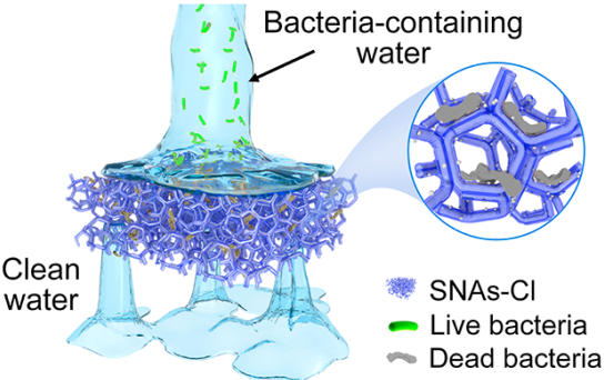 ​《ACS Nano》：人造“丝瓜络”杀菌材料，1分钟杀灭99.9999％的大肠杆菌