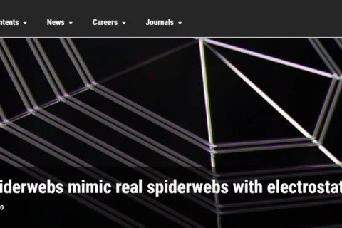 人造蜘蛛网登上《Science》头条！集感知、捕获、清洁等功能于一体！