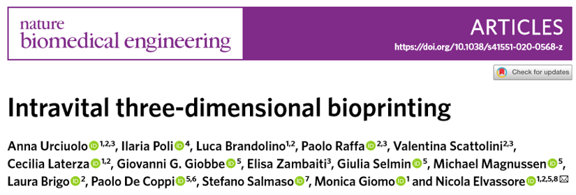 ​《Nat.Biomed.Eng.》:活体3D生物打印光敏聚合物水凝胶！有望代替常规生物打印
