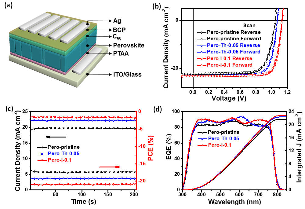 苏州大学李耀文教授《AFM》:电子态调控新方法助力高效率钙钛矿太阳能电池
