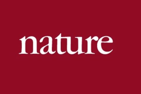 《Nature》子刊：注射这种光敏性聚合物纳米粒子，成功恢复盲鼠视力