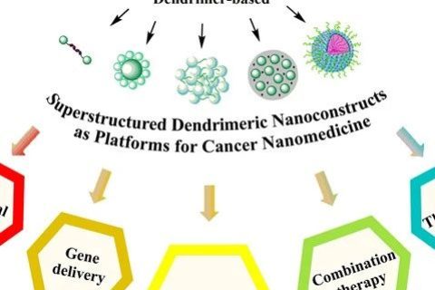 基于超结构树状大分子的纳米平台在癌症纳米医学中的应用进展