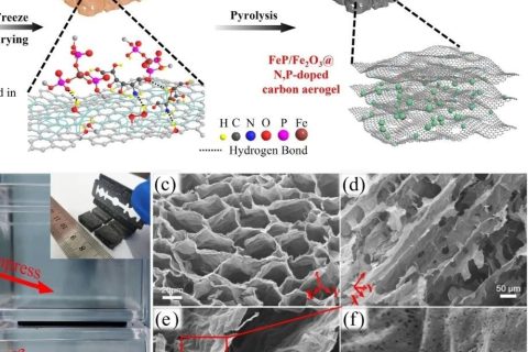 纳米纤维素制备柔性体相空气电极材料研究取得新进展