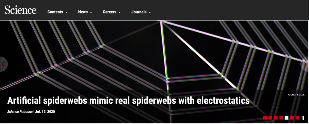 是时候展现真正的技术了！人造蜘蛛网登上《Science》头条！集感知、捕获、清洁等功能于一体！