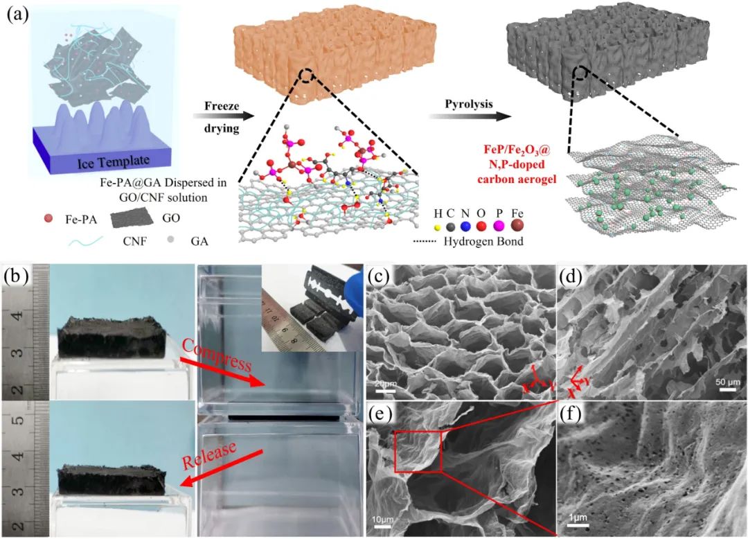 华南理工大学彭新文团队《AM》：纳米纤维素制备柔性体相空气电极材料研究取得新进展