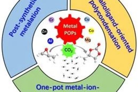 广东工业大学《JMCA》综述：具有可达性的金属基多孔有机聚合物催化转化 CO2 合成环状碳酸酯