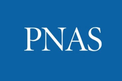 大连理工大学吕小兵教授团队《PNAS》：在手性聚酯创制领域取得重要进展