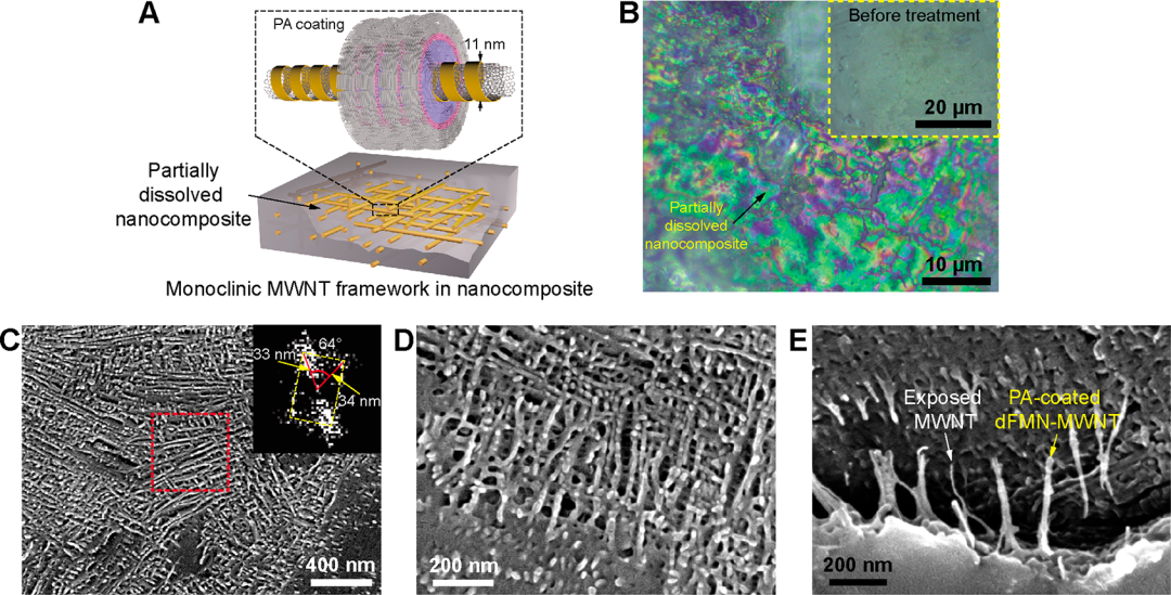 纳米复合发了一篇《ACS Nano》：100 S/m！尼龙6/碳管纳米复合材料电导率创新高！