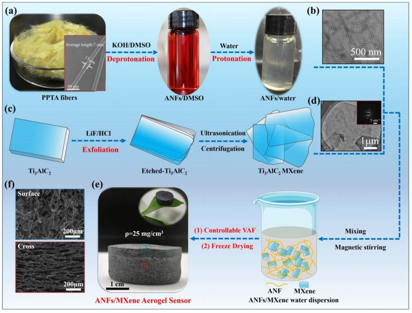 Kevlar纳米纤维和MXene再登《ACS Nano》：陕科大张美云团队：高回弹性、耐高温、高灵敏度气凝胶传感器