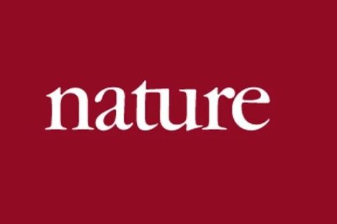 《Nature》子刊：仿昆虫表皮的胆甾型图案设计用于密码学标签！
