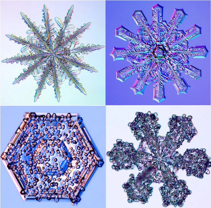 关于冰，你真的了解吗？观察冰，“水”了5篇Nature/Science及子刊!