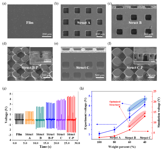Nano Energy：基于面投影微立体光刻3D打印技术的共形压电传感器设计与制造