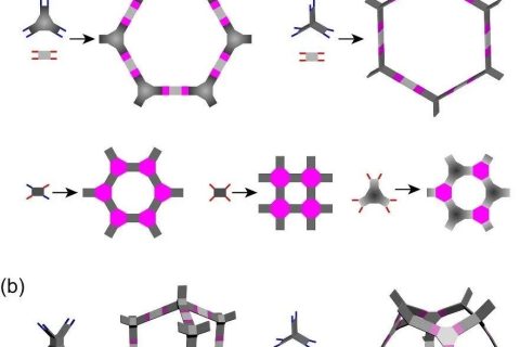 方磊《Chem》综述：多孔网络梯状聚合物