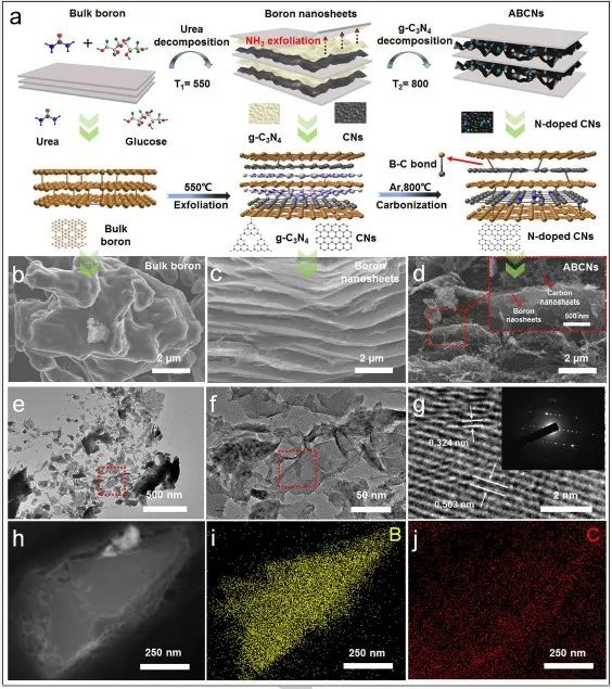南工大陈苏团队《德国应化》：微流体静电纺丝法构筑新型硼-碳纳米纤维
