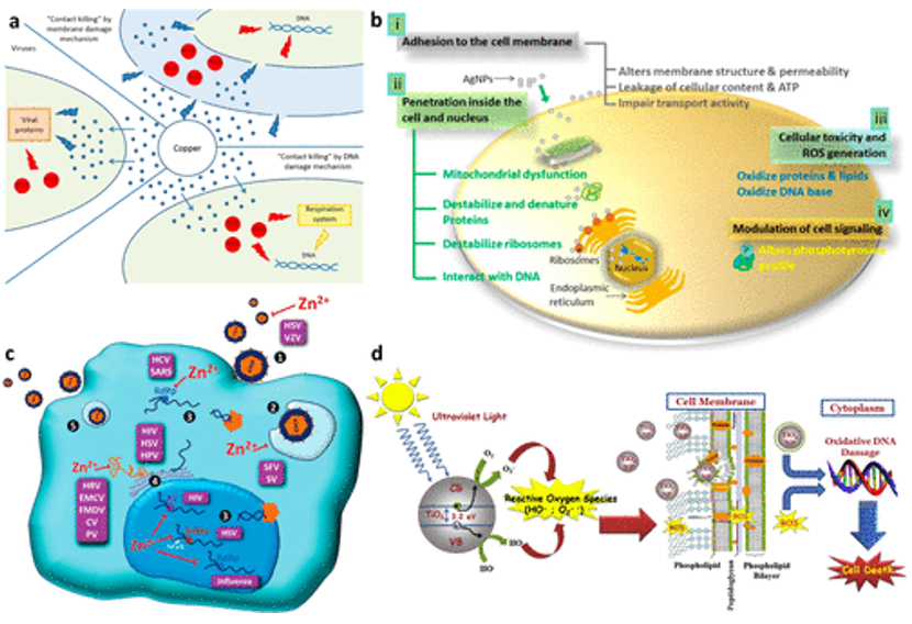 《ACS Nano》综述：抗菌、抗病毒纳米材料和涂层的现状和未来展望