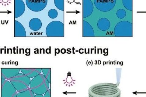 《AFM》：3D打印制造高强韧双网络颗粒水凝胶