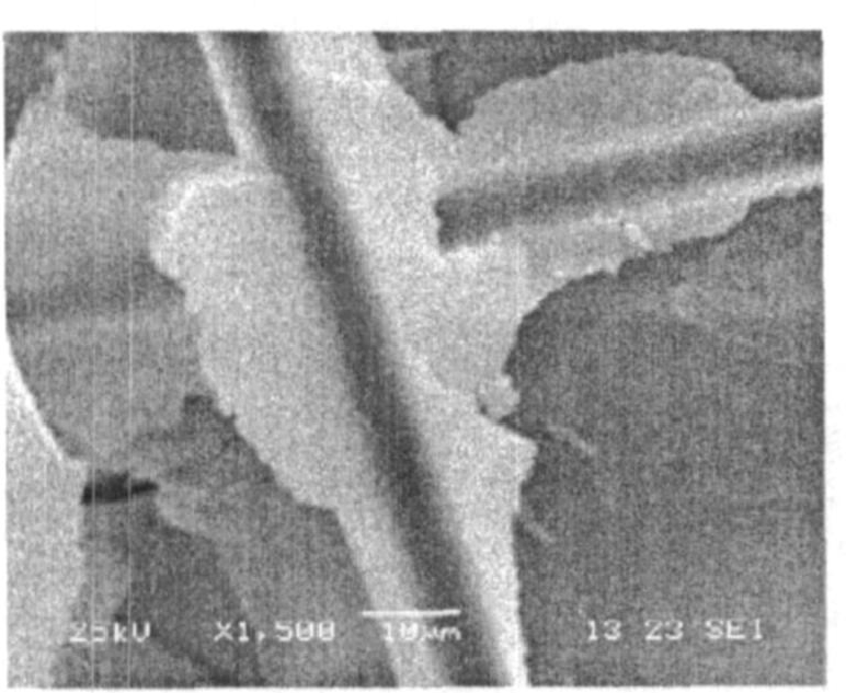 纤维增强SiO<sub>2</sub>气凝胶隔热复合材料的制备及其性能