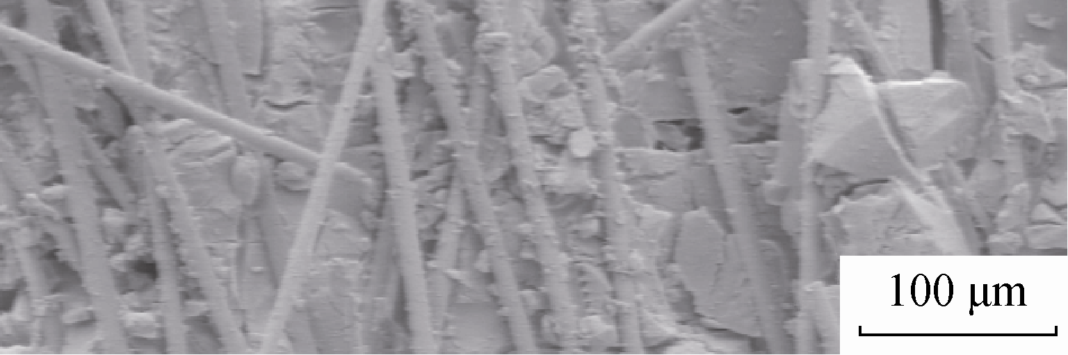 (d) SEM image of fracture section of composites