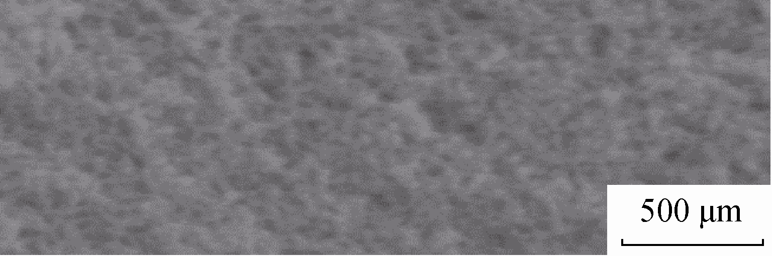  (c) Microstructure of aerogel nanoparticles on fiber surface