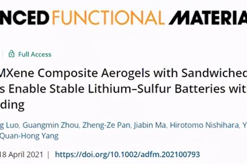 清华大学吕伟：碳纳米管复合气凝胶，实现高硫负载的稳定锂硫电池